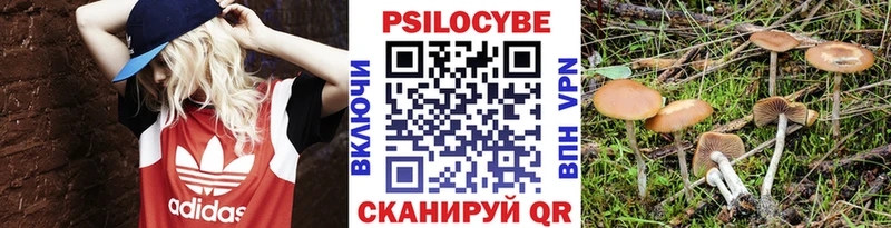 Псилоцибиновые грибы прущие грибы  Купить где  Кремёнки 